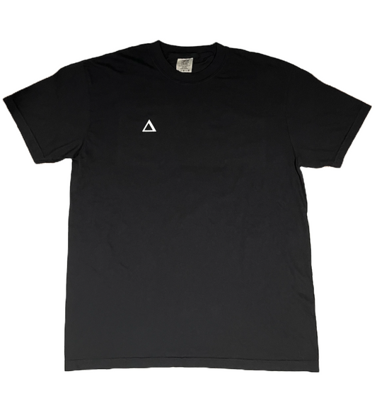 TrueDelta T-Shirt (Black)