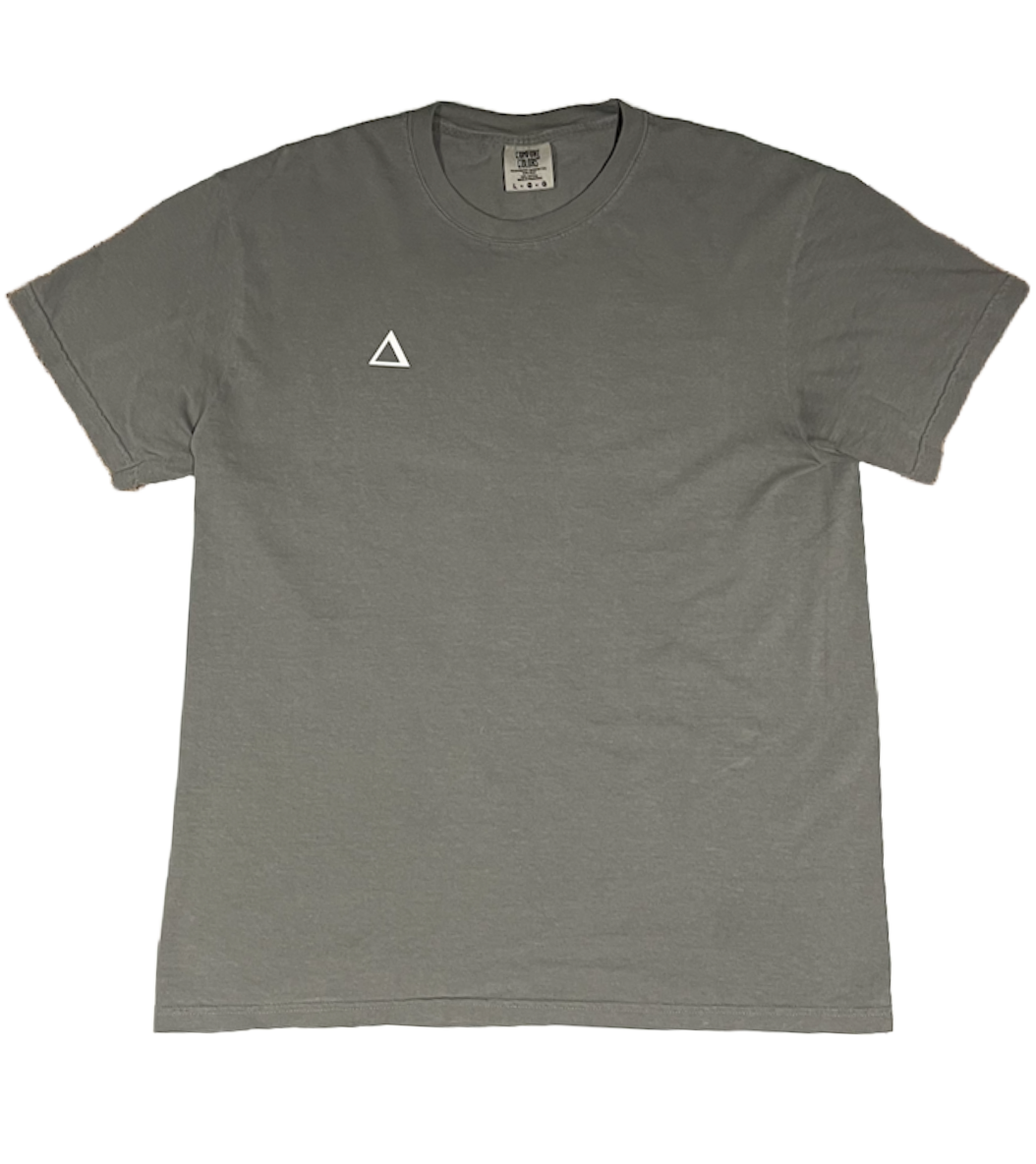 TrueDelta T-Shirt (Grey)